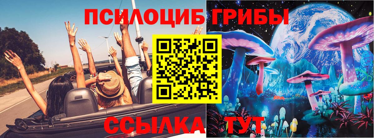 Лянтор  Псилоцибиновые грибы Psilocybine cubensis  Вход с VPN 